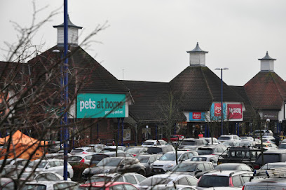 Vets4Pets - Chelmsford