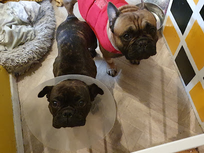 Vets4Pets - Cheltenham