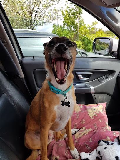 Vets4Pets Coventry Walsgrave