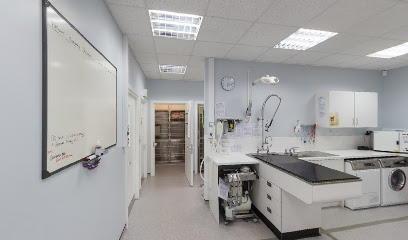 Vets4Pets - Drumchapel