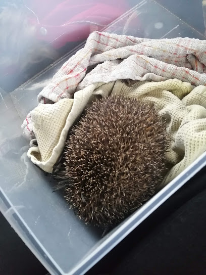 Vets4Pets - Eastleigh