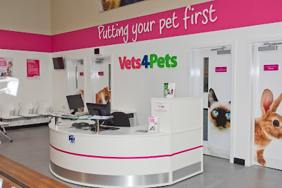 Vets4Pets - Hastings