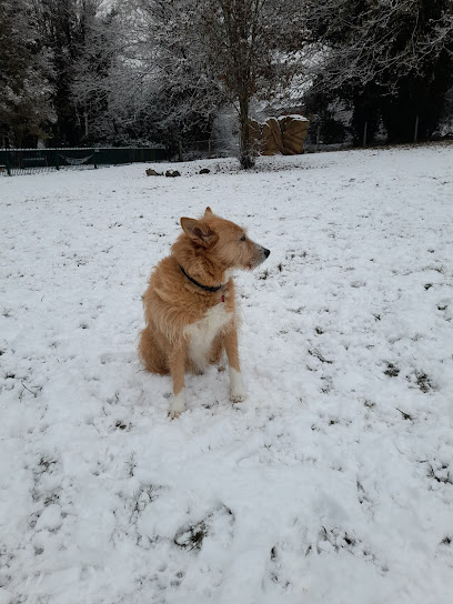 Vets4Pets - Hemel Hempstead