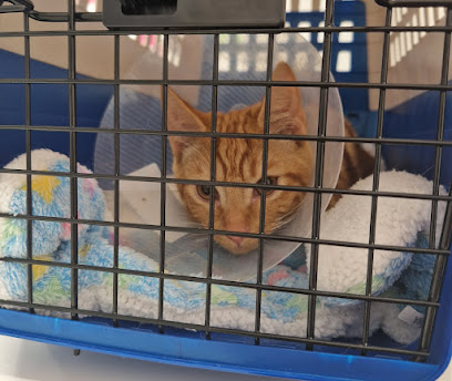 Vets4Pets - Hucknall