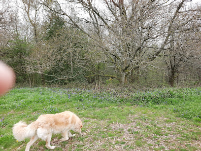 Vets4Pets - Hull Stoneferry