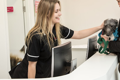 Vets4Pets - Kirby in Ashfield