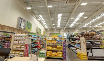 Vets4Pets - Kirkcaldy