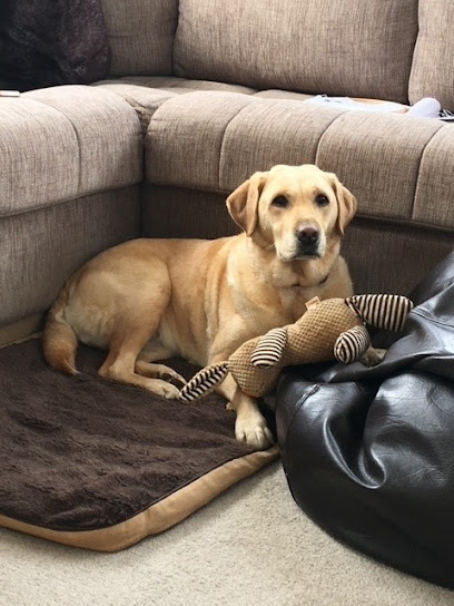 Vets4Pets - Leeds Colton