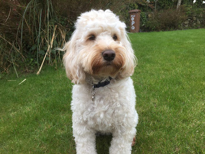 Vets4Pets - Leigh-on-Sea