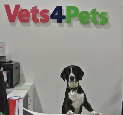 Vets4Pets - Lisburn