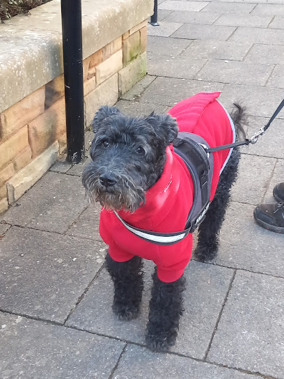 Vets4Pets - Llanelli