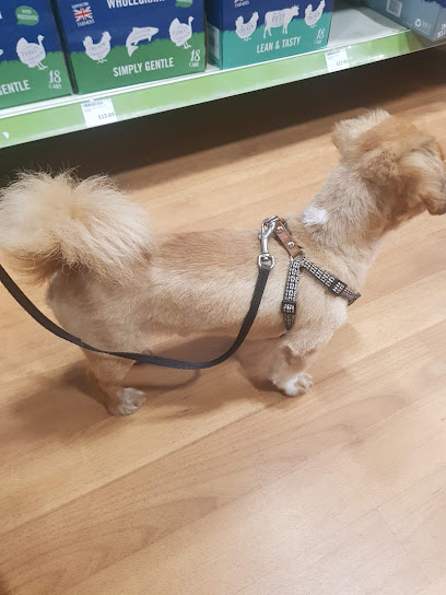 Vets4Pets - Luton Gipsy