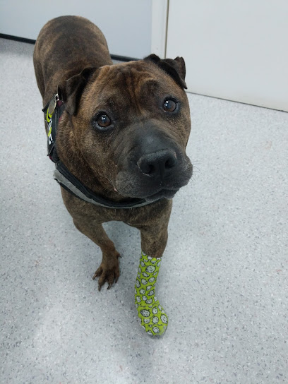 Vets4Pets - Newton Abbot