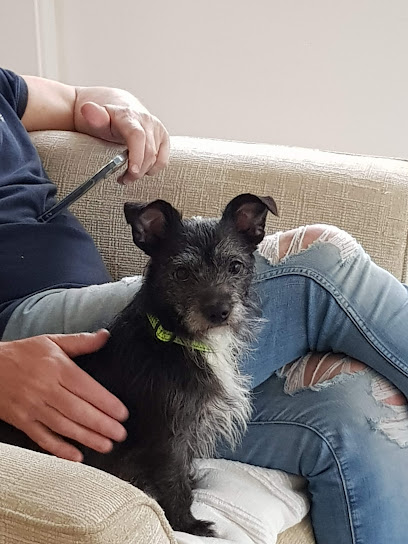 Vets4Pets Norwich Longwater