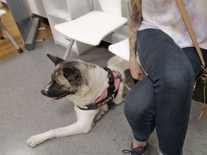 Vets4Pets Nottingham Chilwell