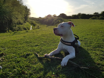 Vets4Pets - Peterborough