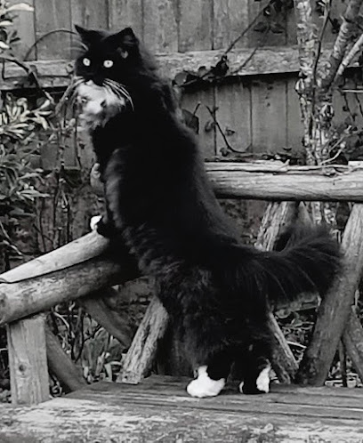 Vets4Pets - Poole Holes Bay