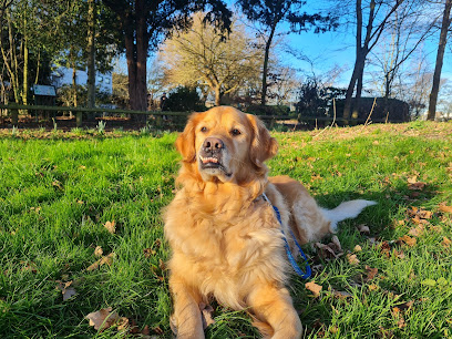 Vets4Pets - Southend-On-Sea