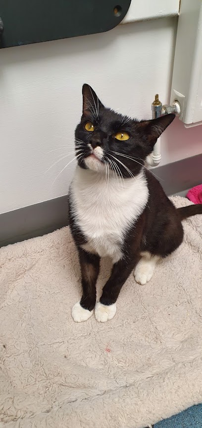 Vets4Pets - Sunderland