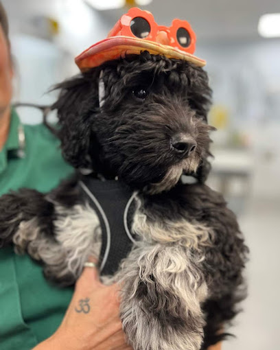 Vets4Pets - Tilehurst