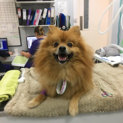 Vets4Pets - Torquay