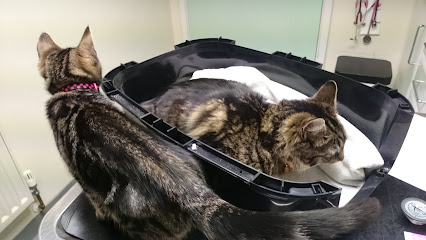 Vets4Pets Walsall Reedswood