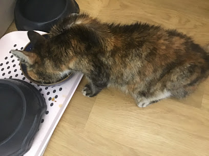 Vets4Pets Waltham Abbey