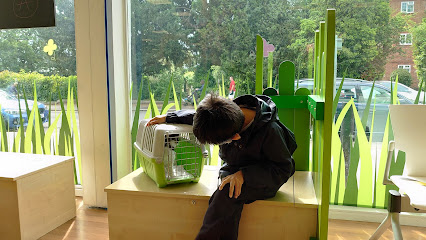 Vets4Pets - Walton-on-Thames