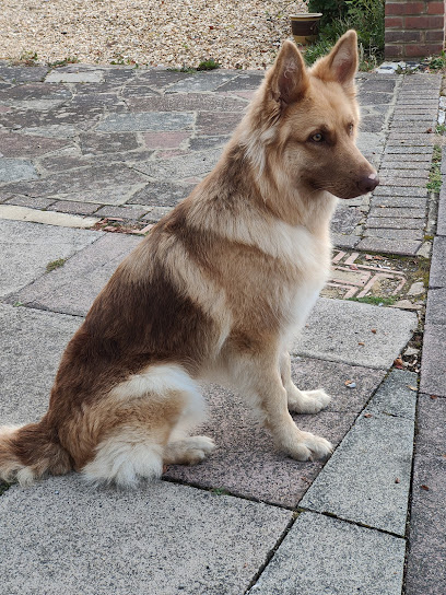 Vets4Pets - Worthing