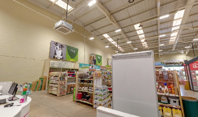 Vets4Pets - Wrexham Plas Coch