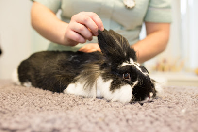 Victoria Veterinary Practice