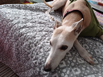 Victoria Vets Chapel