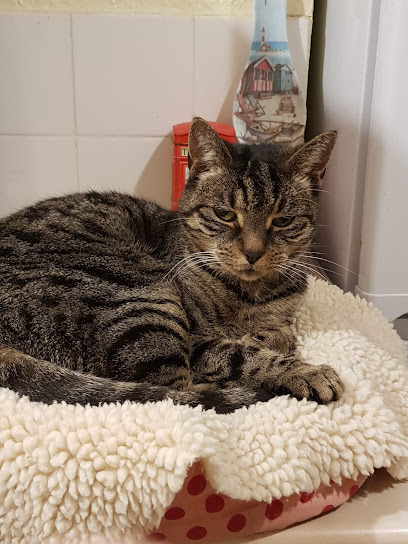 Victoria Vets Glossop