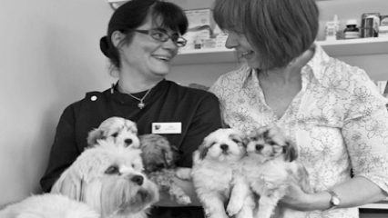 Village Vet Cottenham