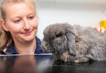 Village Vet Potters Bar