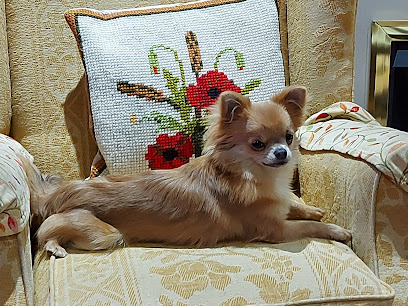 Wagtails Veterinary Centre