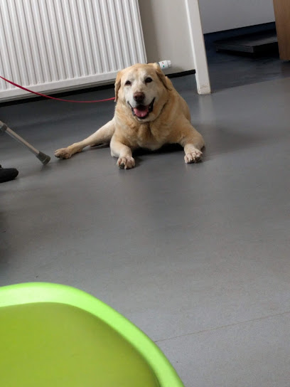 Wallace Vets - Broughty Ferry