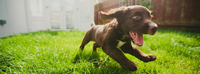 Walton Lodge Veterinary Group Ltd