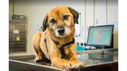 Wards Veterinary Centre