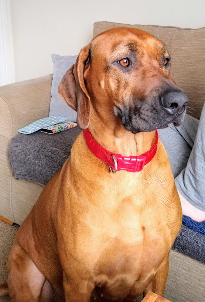 Warrendale Veterinary Care Centre