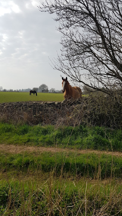 Waterlane Equine Vets