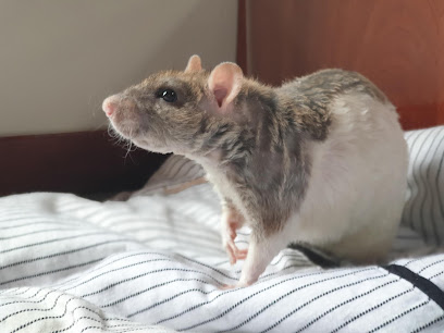 Waylands Veterinary Centre