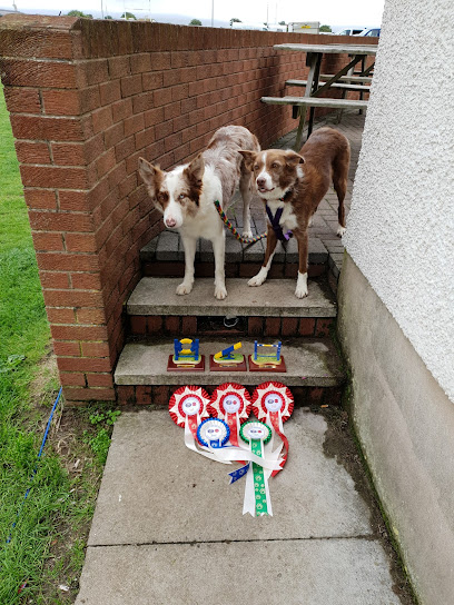 West Lakeland Veterinary Group