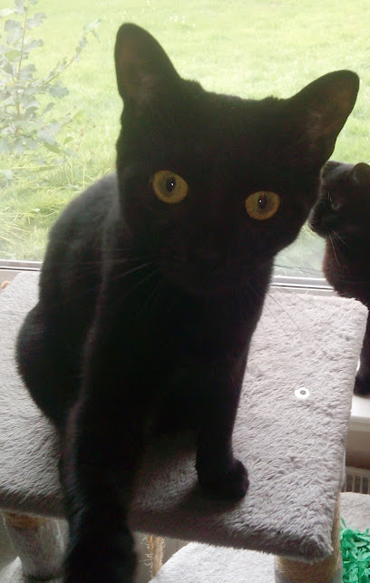 West Ridge Veterinary Practice