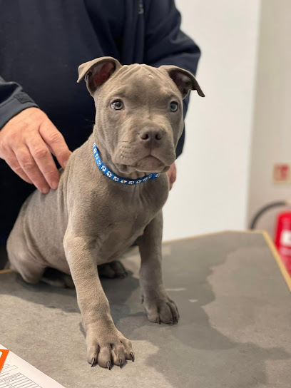 West Wickham Veterinary Surgery