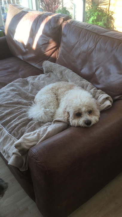 Willett House Veterinary Surgeons - Feltham