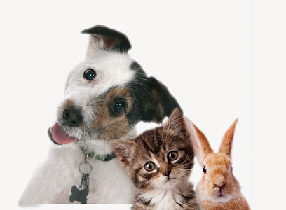 Willow Veterinary Centres