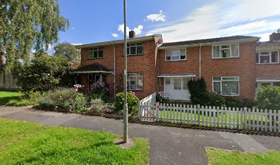 Willow Veterinary Physiotherapy