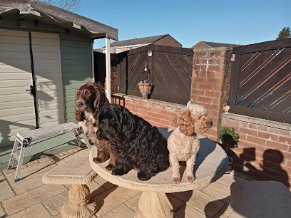 Wilson Veterinary Group, Spennymoor