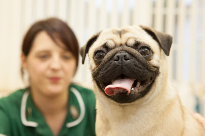 Wimbledon Veterinary Surgery